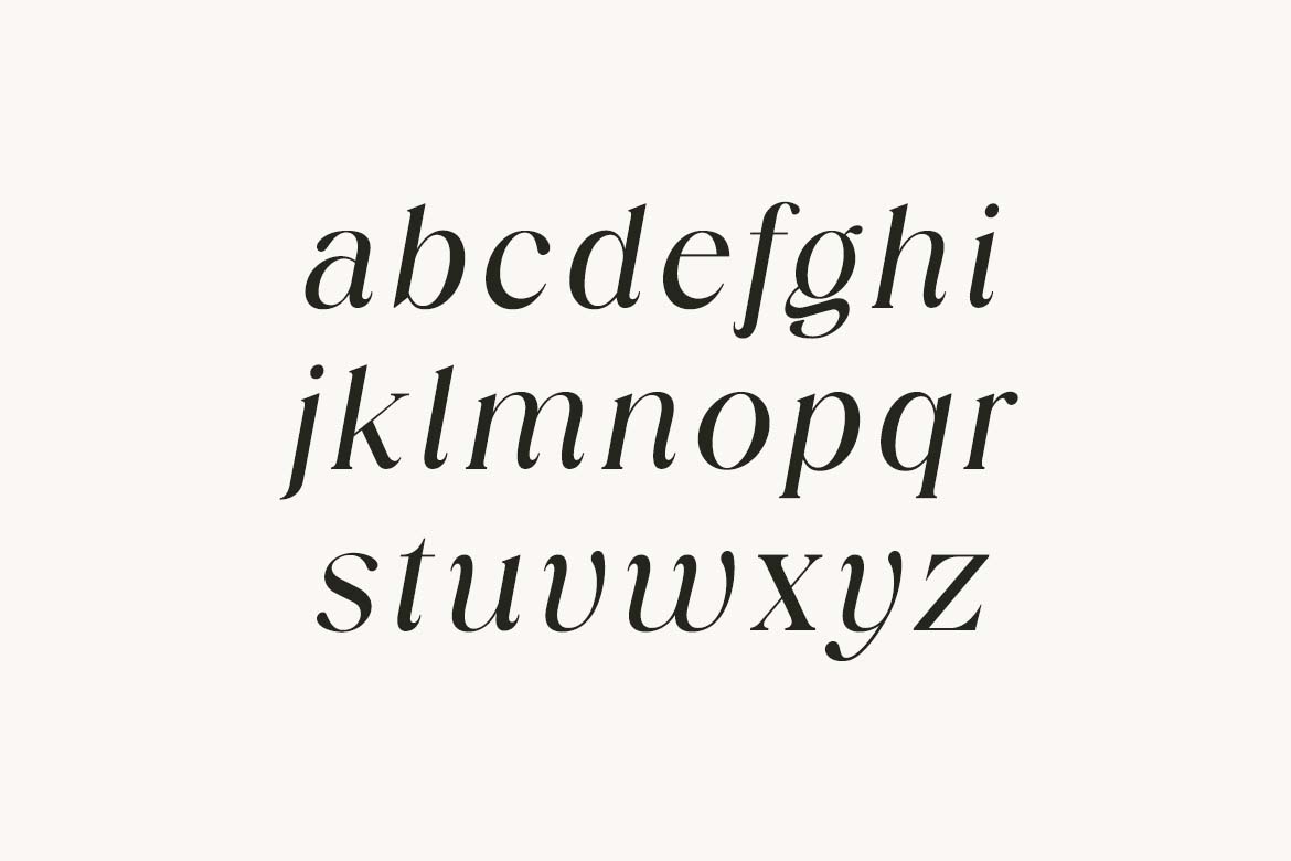 Elegance Prime Ligature Modern Serif Font-4