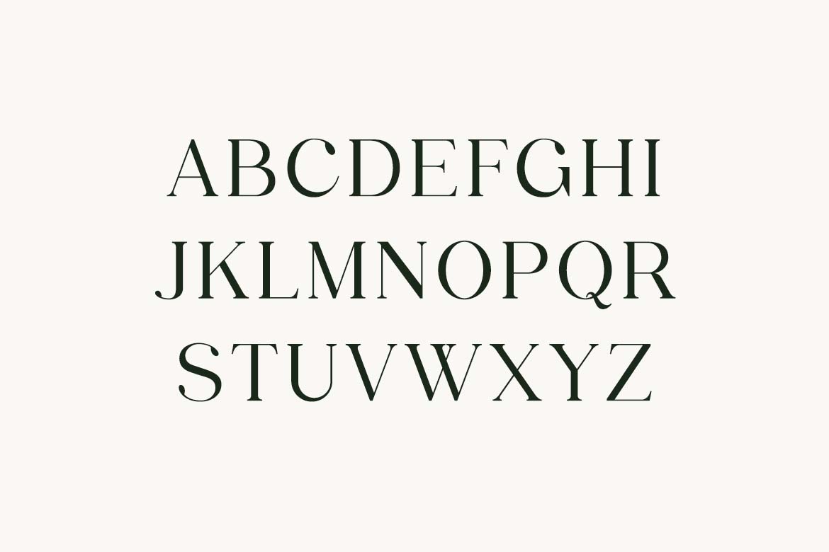 Palatines Serif Display Serif Family Font-4