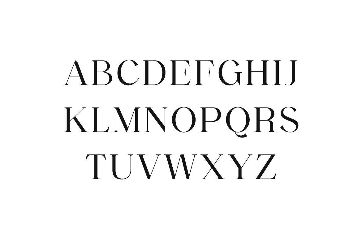 Backswings Modern Combination Serif Family Font-4