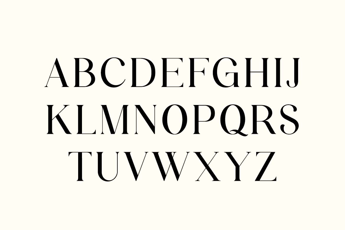 Modest Steady Display Serif Font-4