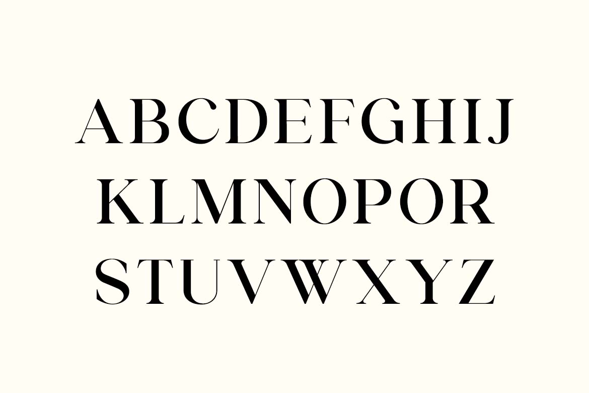 Vintage Factory Retro Display Serif Font-4
