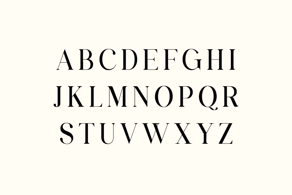 Metropolitan Parliament Editorial Serif Family Font-4