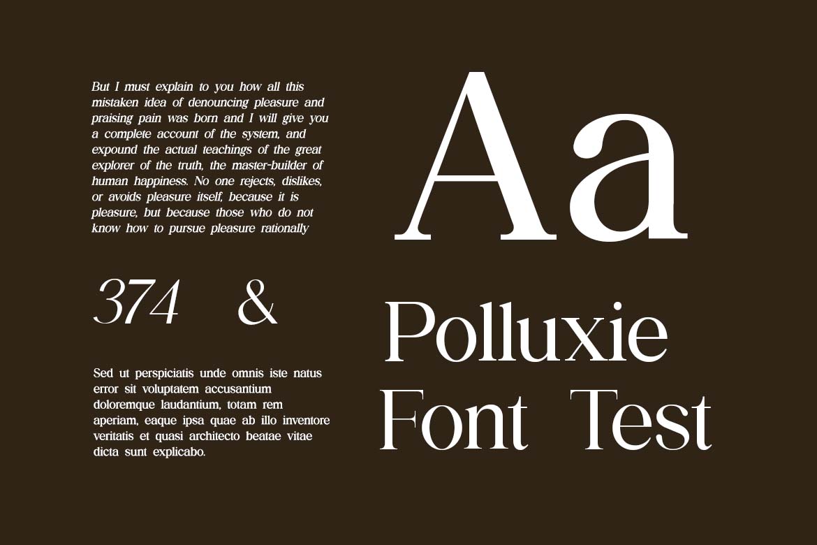 The Regalique Elegant Sans Serif Family Font-4
