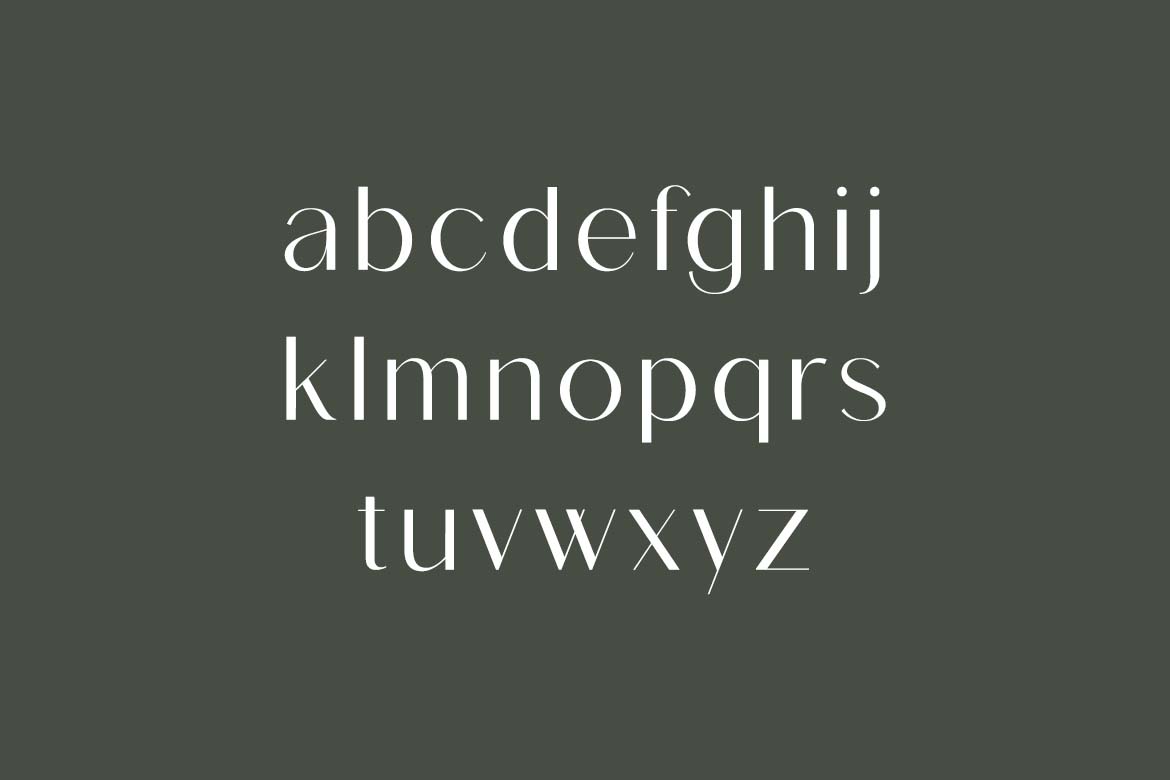 Swaying Elizabeth Modern Serif Family Font-5