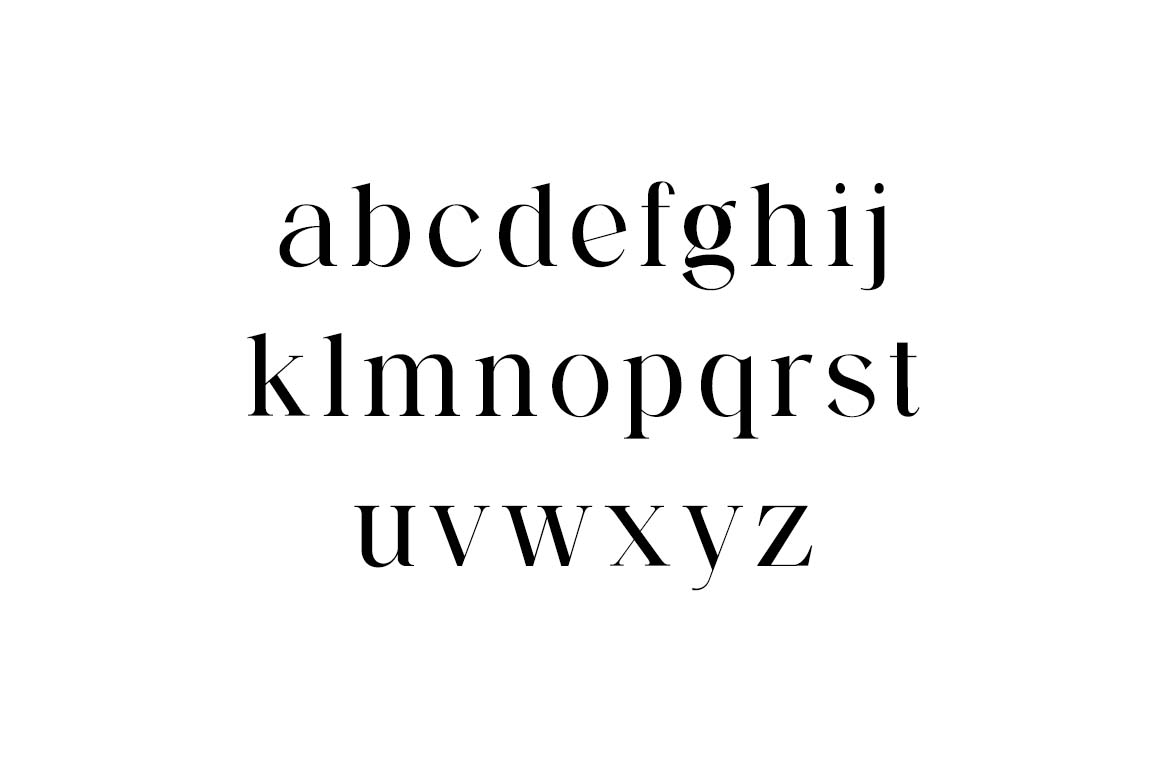Backswings Modern Combination Serif Family Font-5