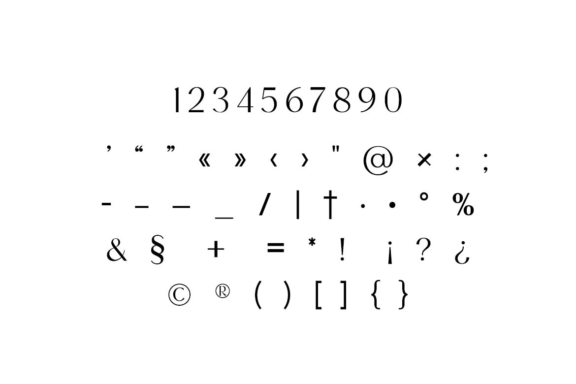 Palatines Serif Display Serif Family Font-6