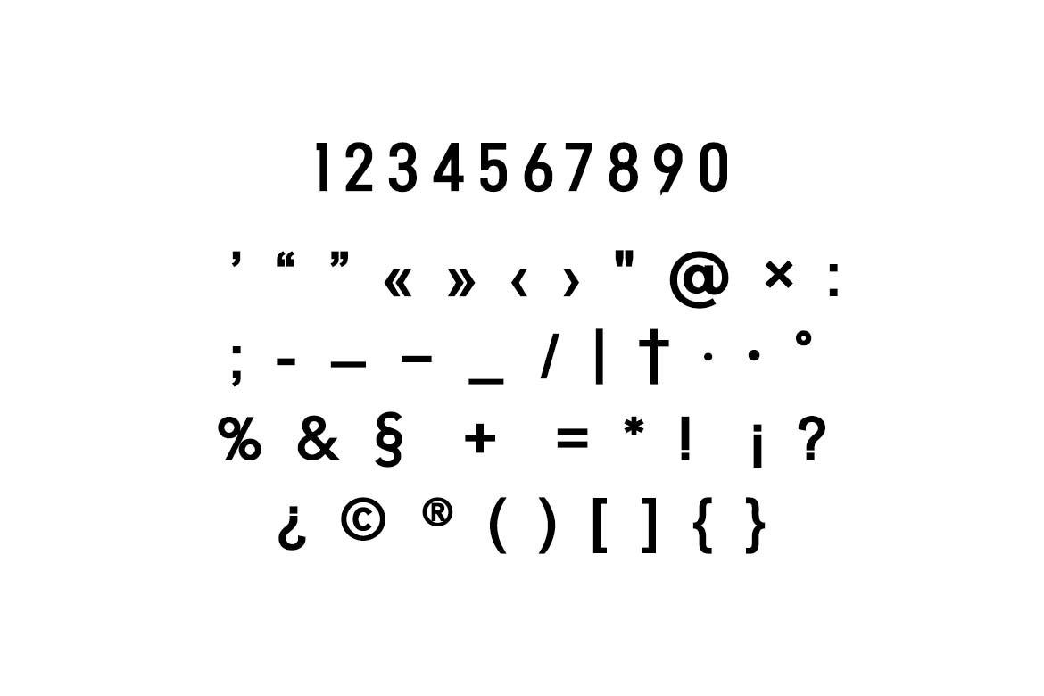 Vintage Groove Bold Display Family Font-6