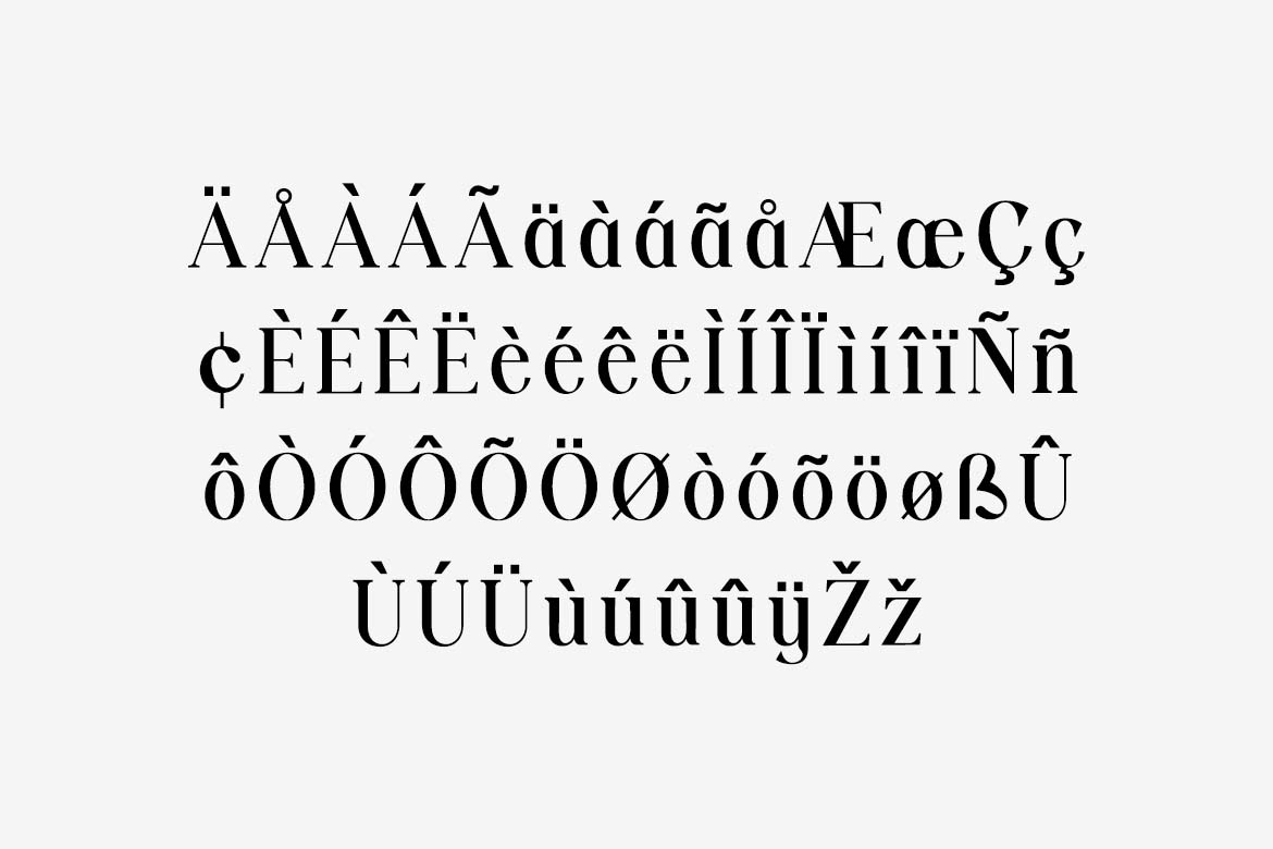 Vexford Quantum Elegant Serif Family Font-6