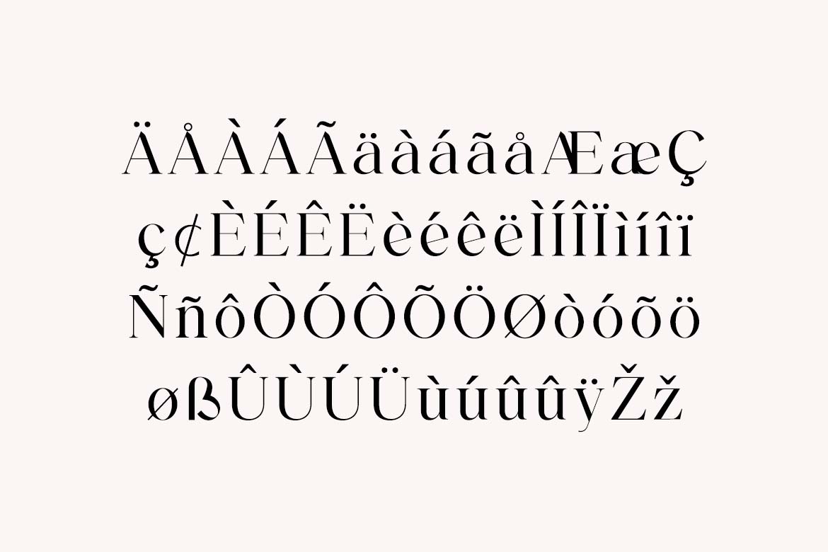 Backswings Modern Combination Serif Family Font-6
