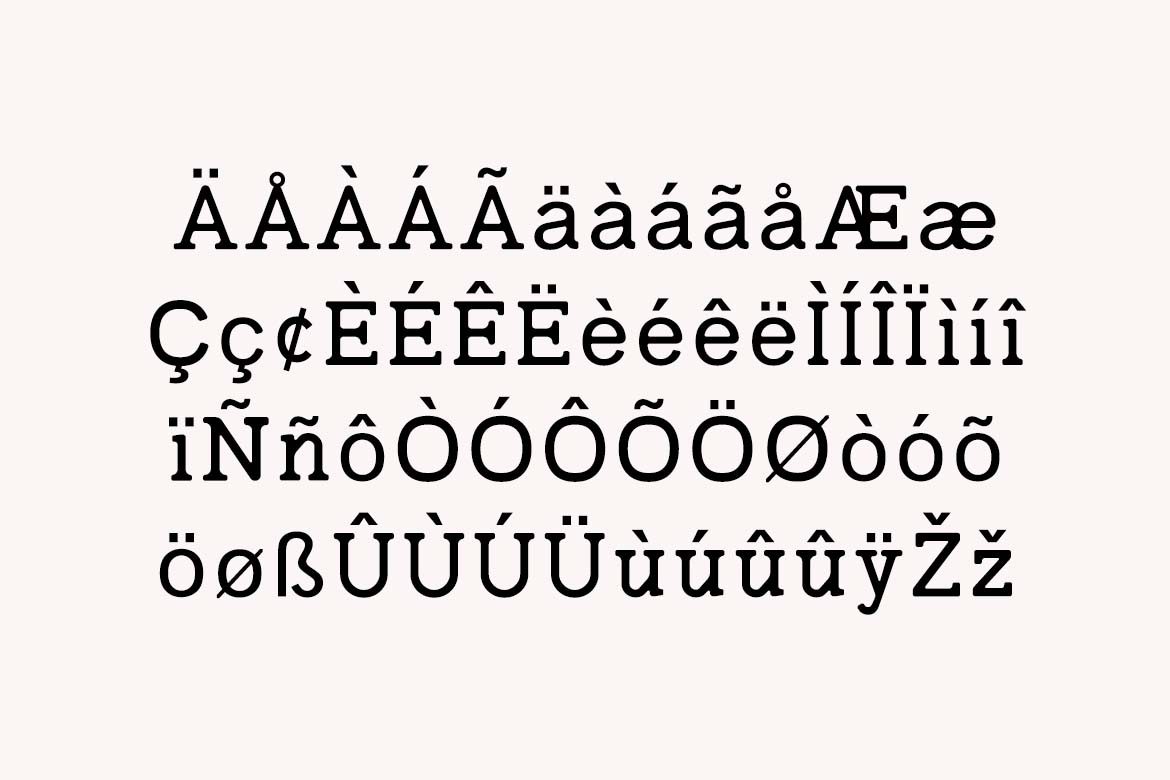 Monclair Elegant Classy Serif Family Font-6
