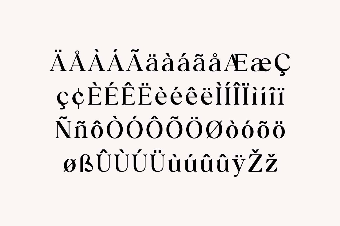 Jukebox Rewind Vintage Serif Family Font-6