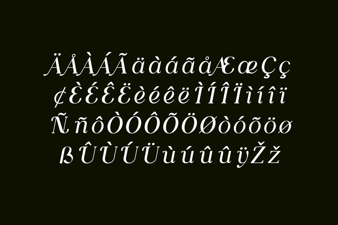 Bohemian Whisper Retro Serif Font-6