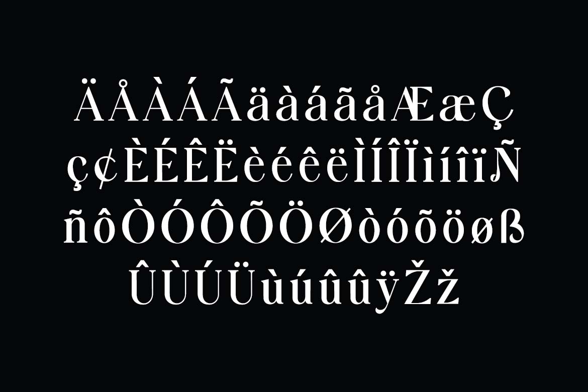 Manifesto Classic Modern Elegant Serif Font-6
