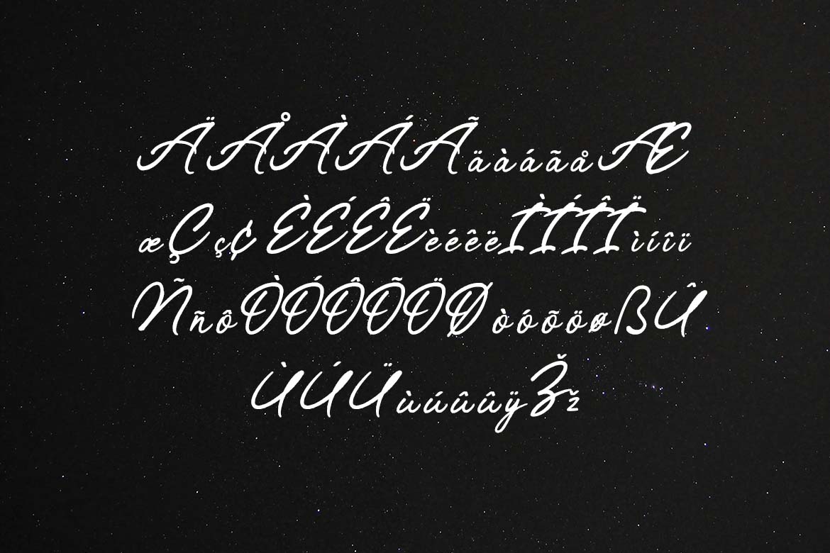 Tropical Streamline Romantic Handwritten Font-6