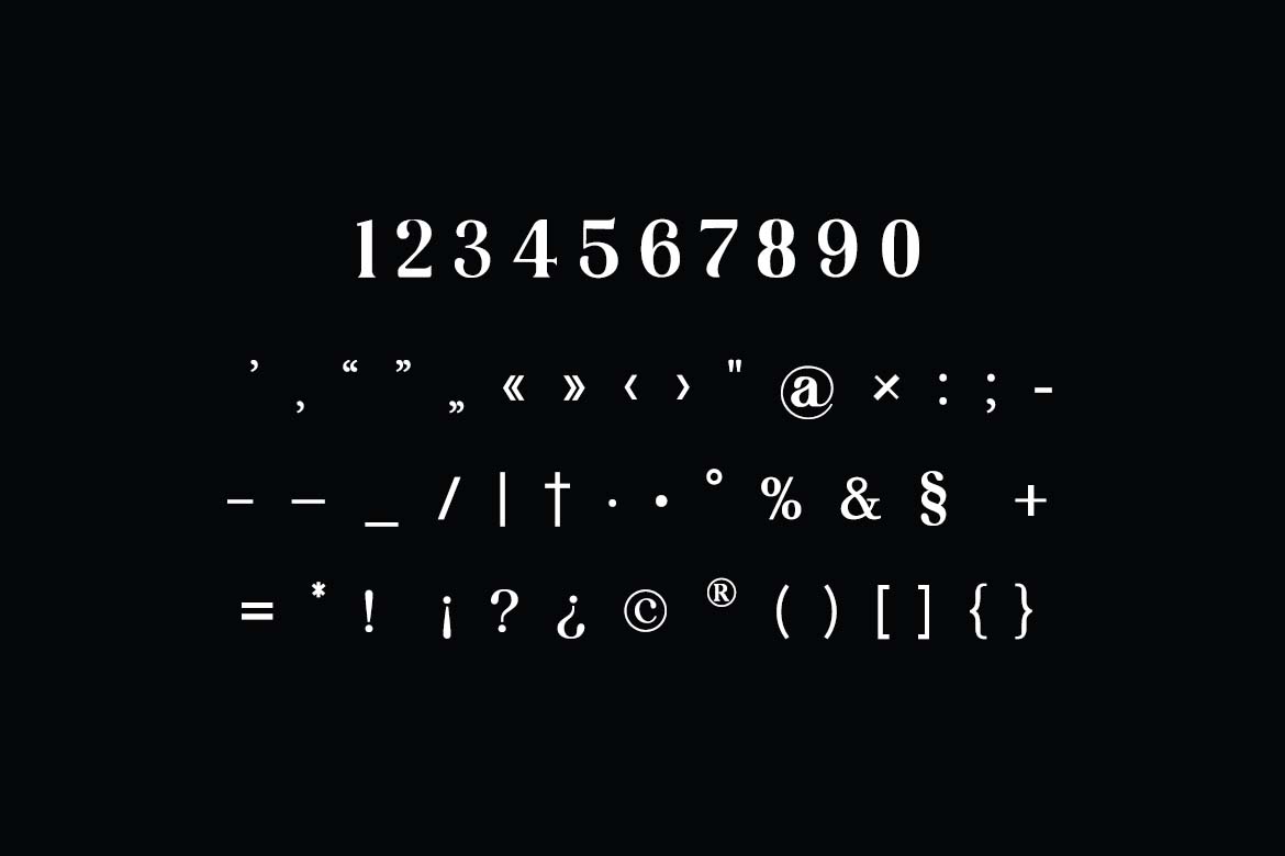 Quirkster Unique Display Sans Serif Font-6