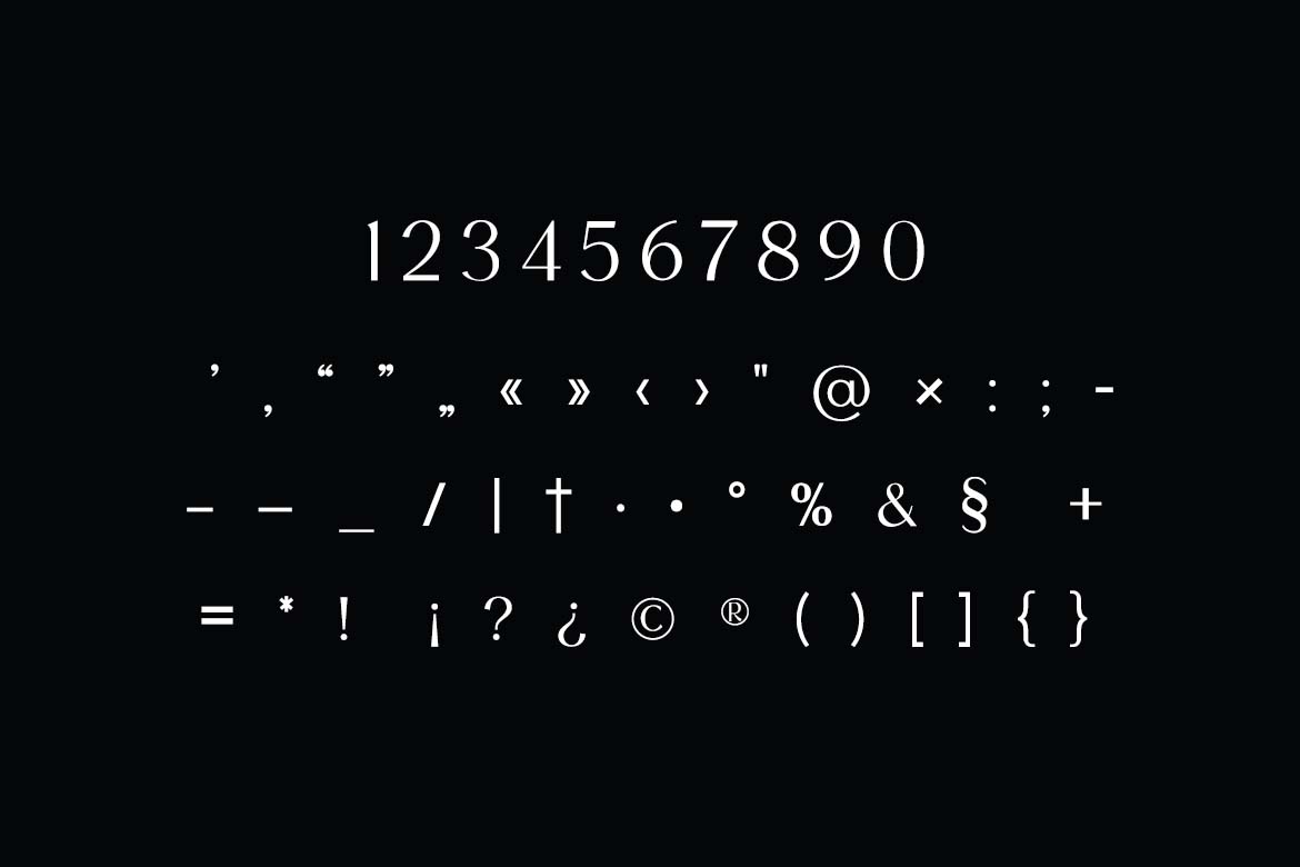 Silver District Modern Serif Font-6