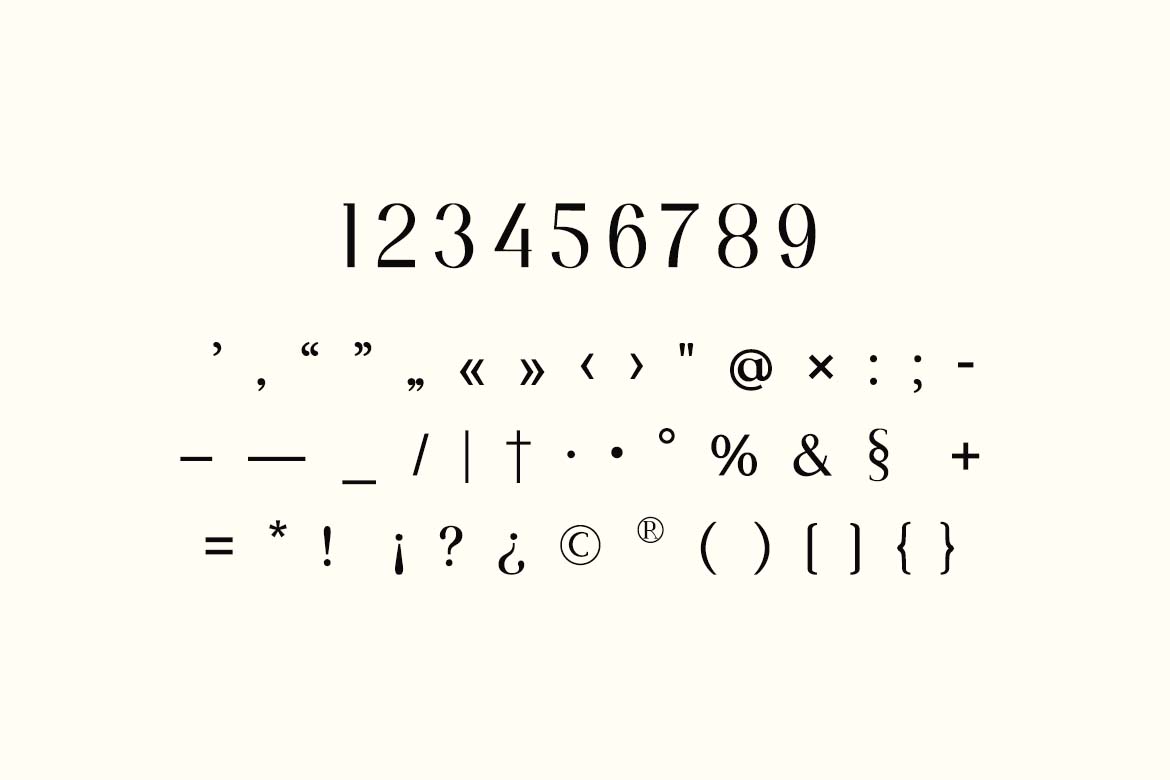 Modest Steady Display Serif Font-6