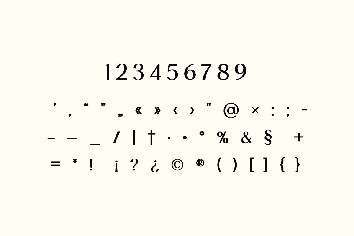 Vintage Factory Retro Display Serif Font-6