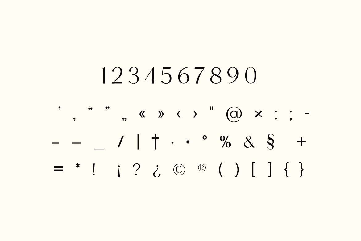 The Knight Machine Display Serif Font-6