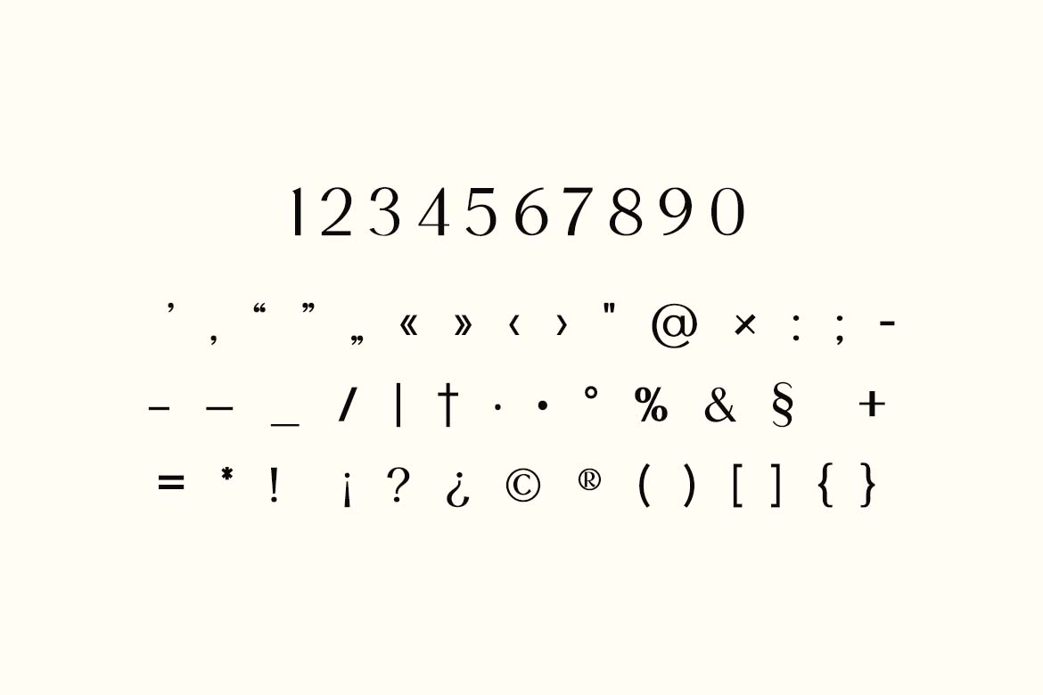 Roscia Sylvia Elegant Serif Font-6
