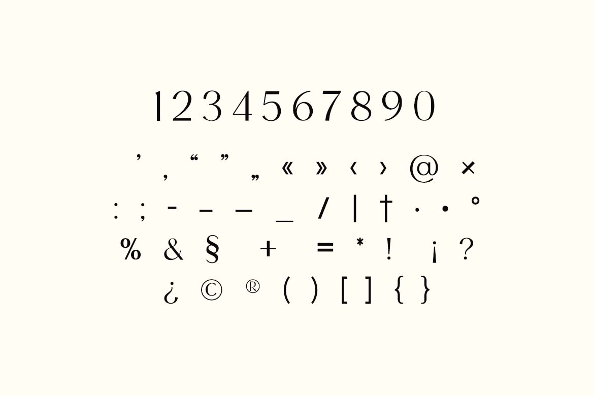 Brighton Newport Elegant Serif Font-6