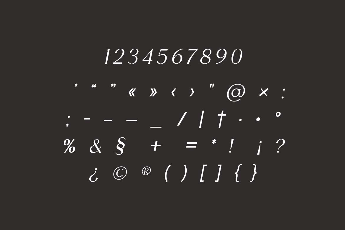 Elegance Prime Ligature Modern Serif Font-7