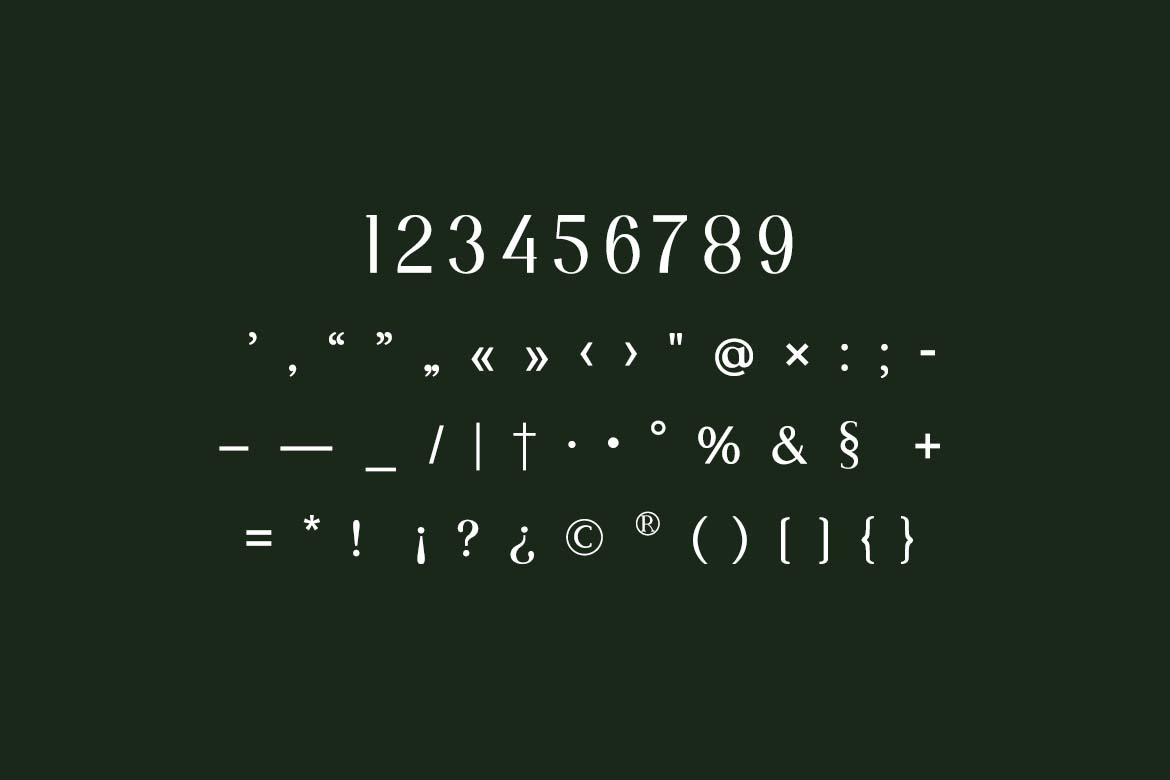 Moonscape Serif Roman Serif Family Font-7