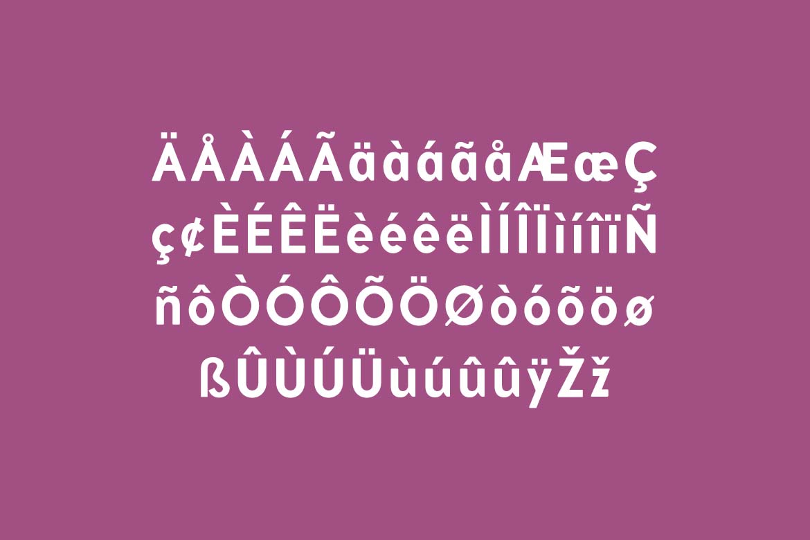 Vintage Groove Bold Display Family Font-7