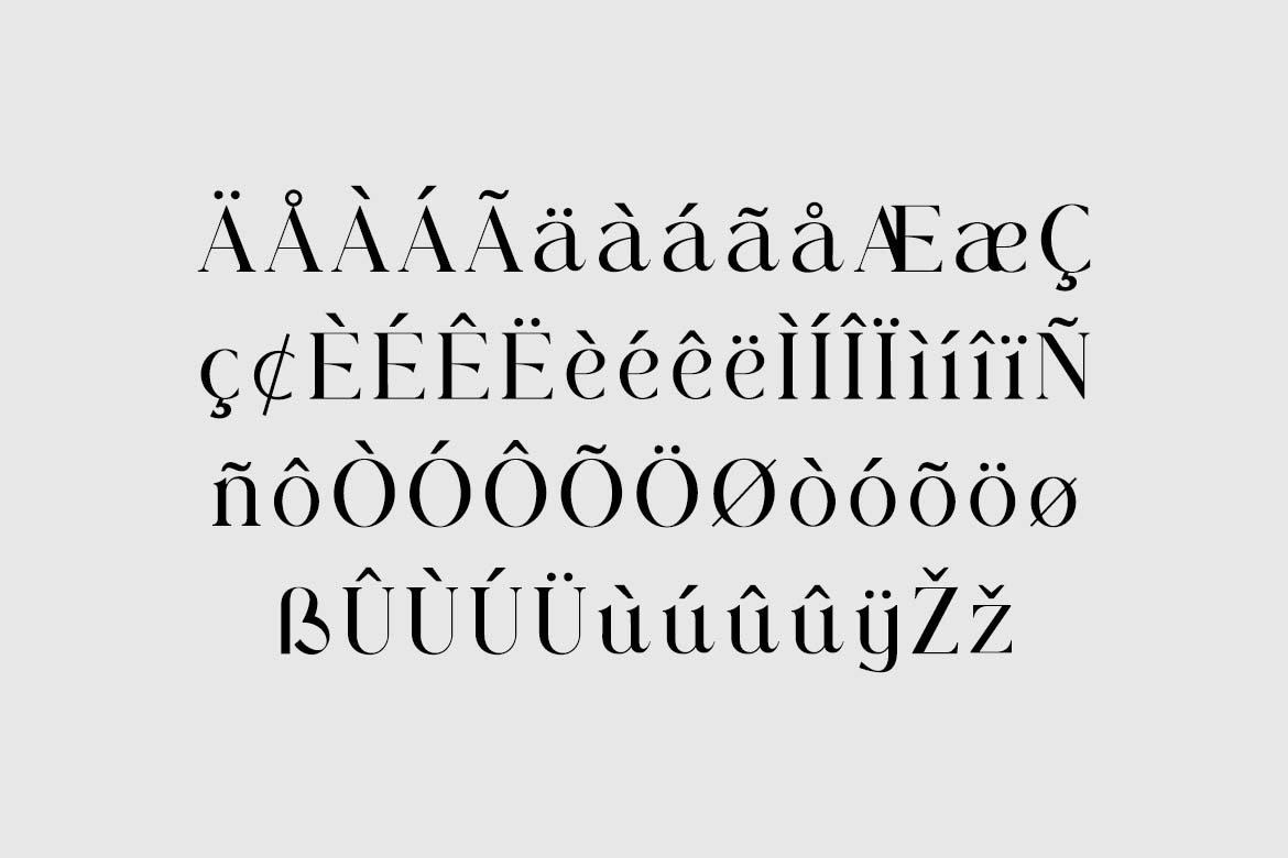 Swaying Elizabeth Modern Serif Family Font-7