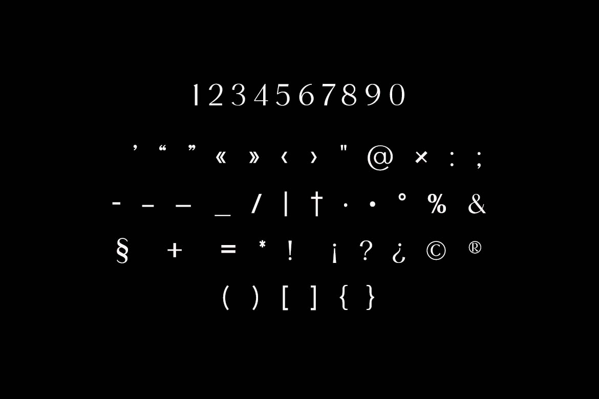 Rosane Maison Luxury Serif Font-7