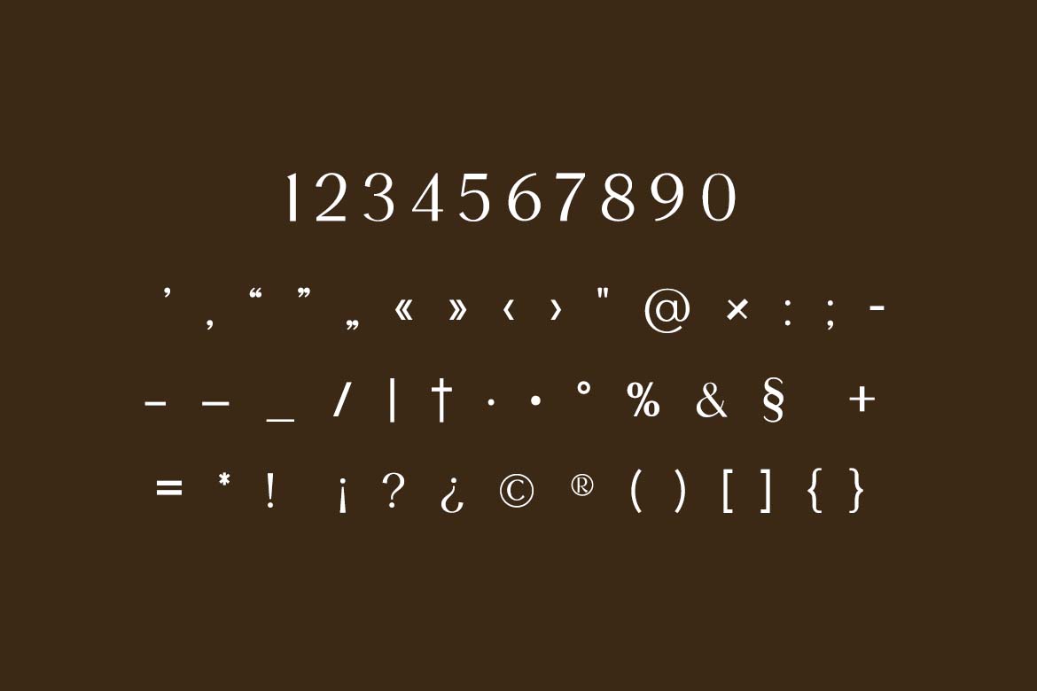 The Heritage Legacy Vintage Serif Family Font-7