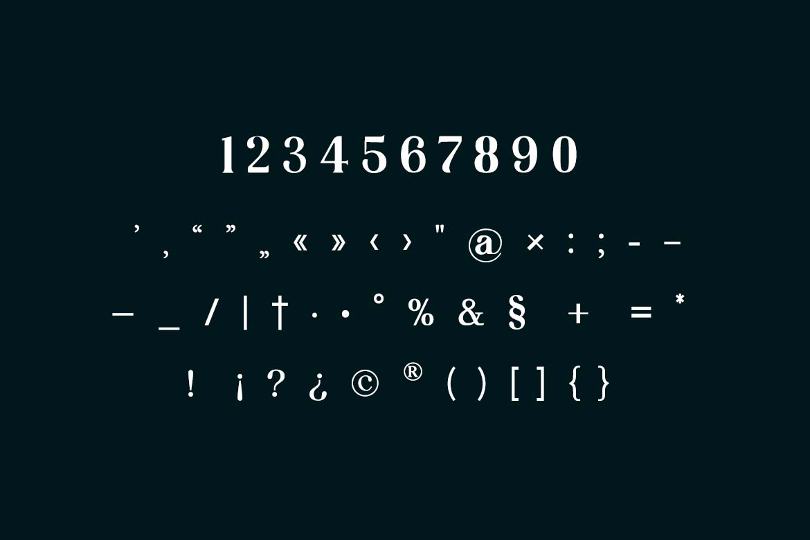 Vexford Quantum Elegant Serif Family Font-7