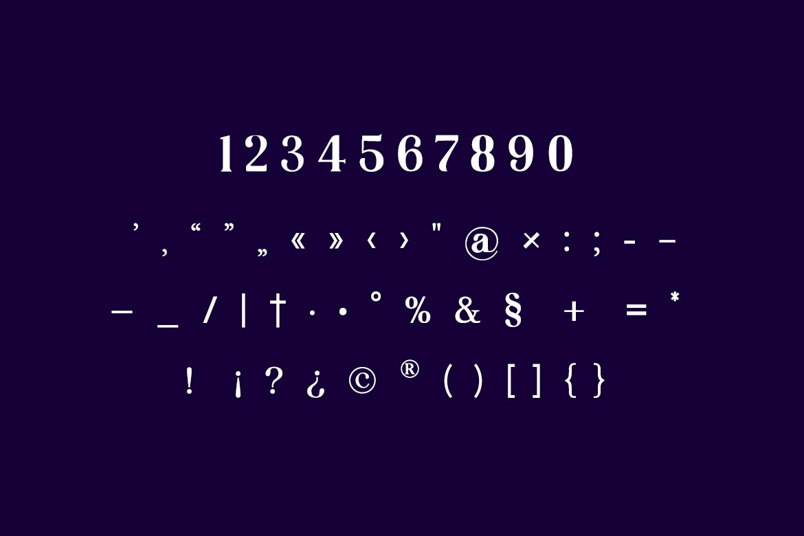 Backswings Modern Combination Serif Family Font-7