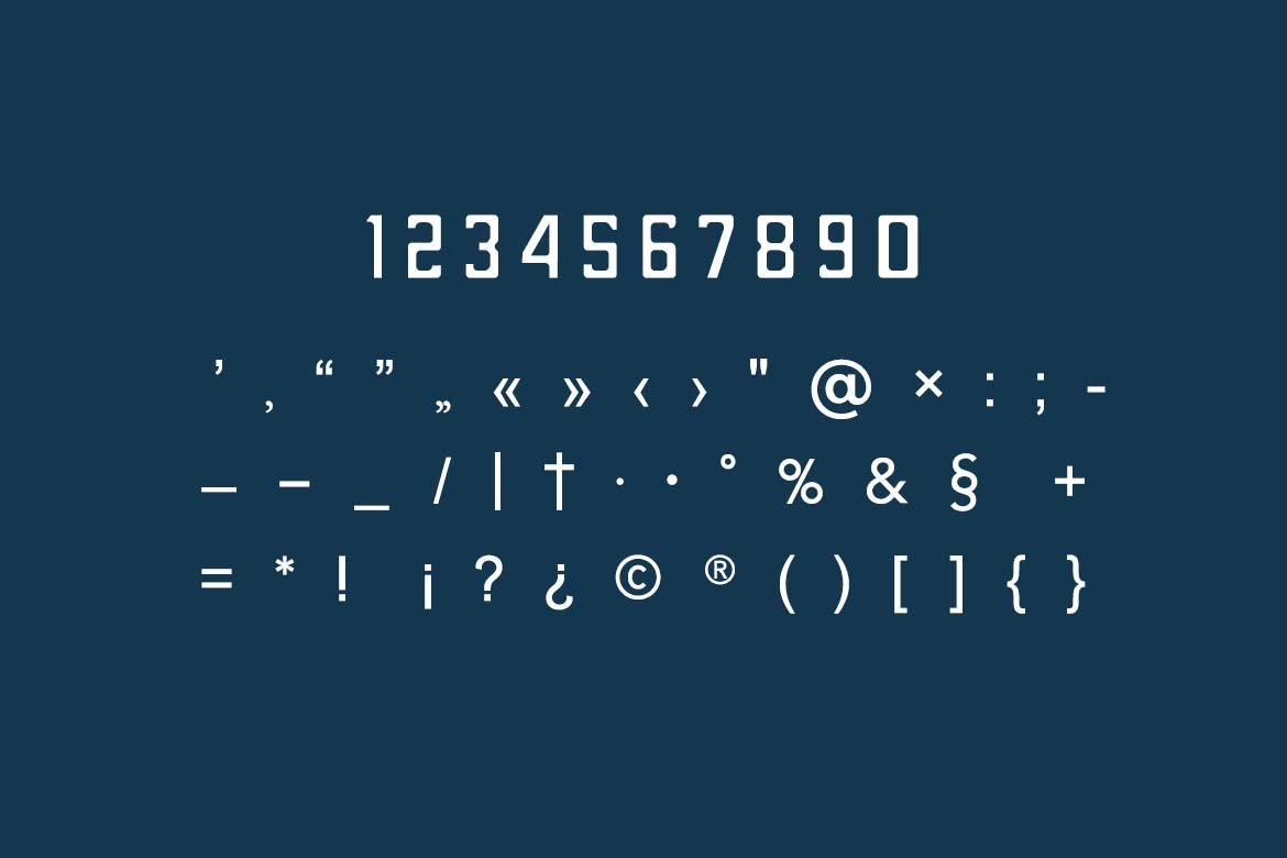 Monclair Elegant Classy Serif Family Font-7