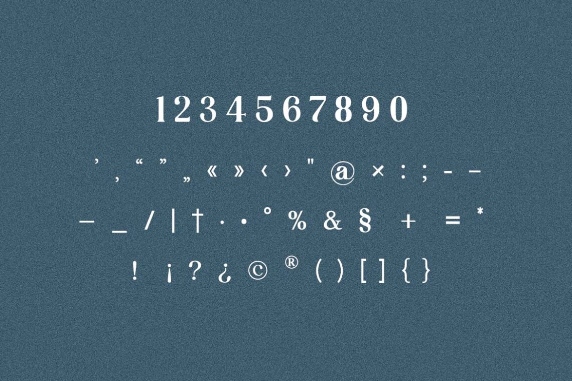 Jukebox Rewind Vintage Serif Family Font-7