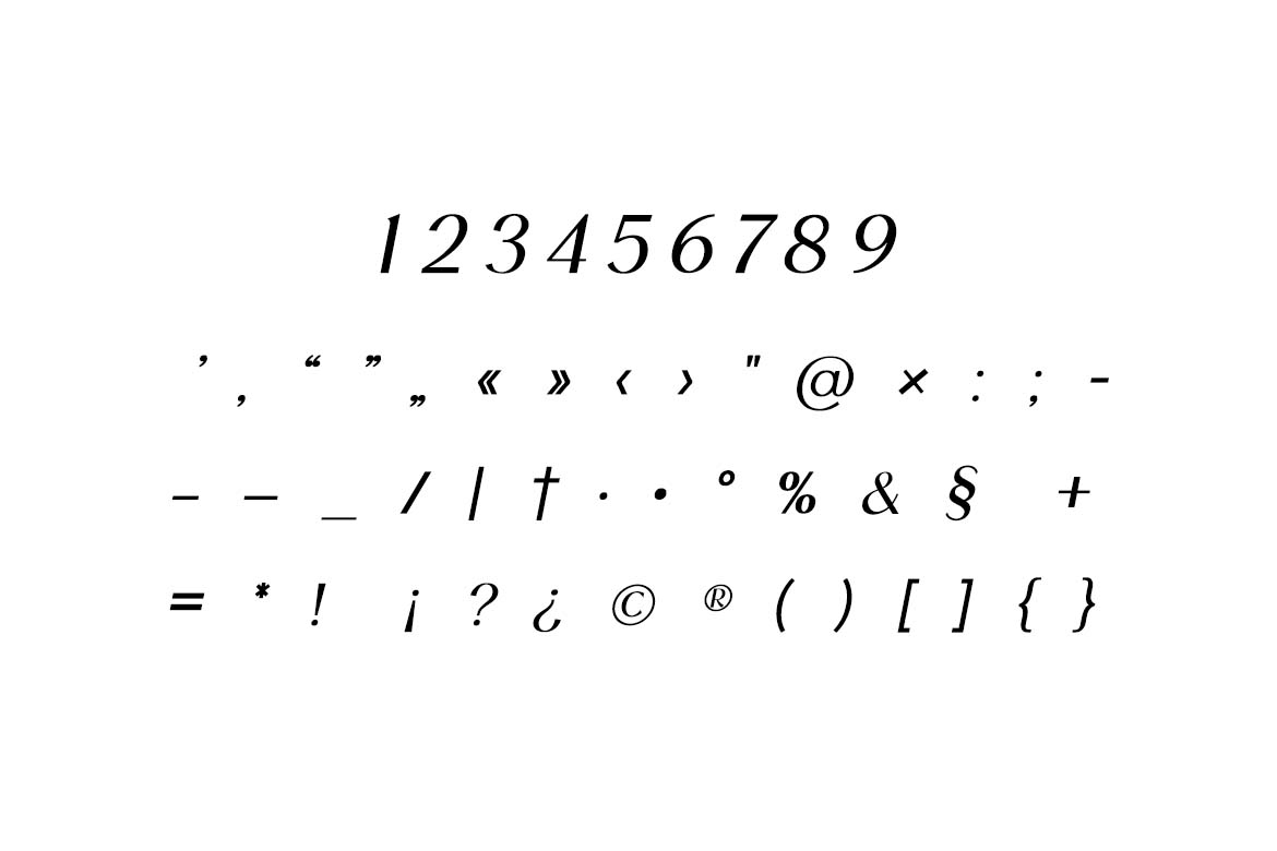 Bohemian Whisper Retro Serif Font-7
