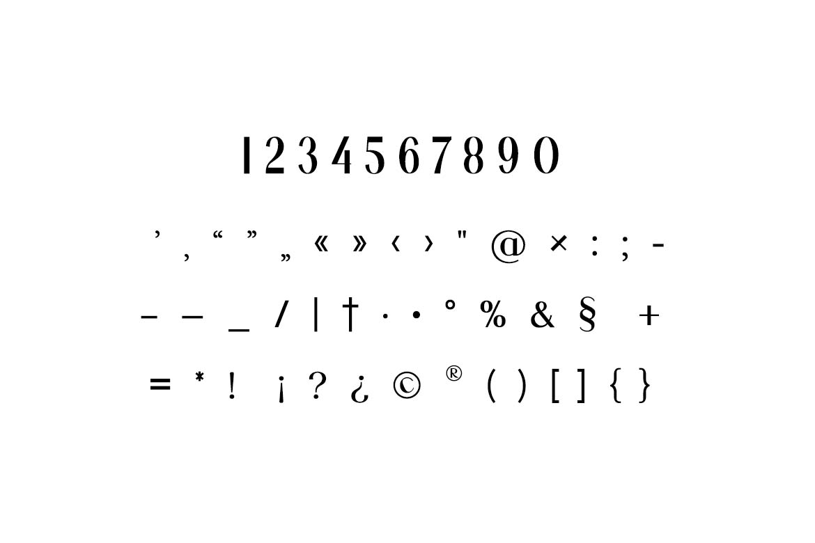 Manifesto Classic Modern Elegant Serif Font-7