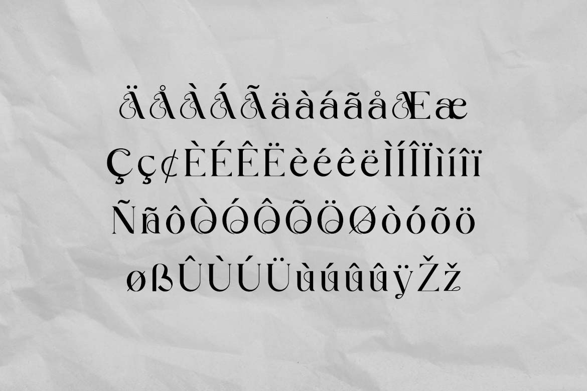 Silver District Modern Serif Font-7