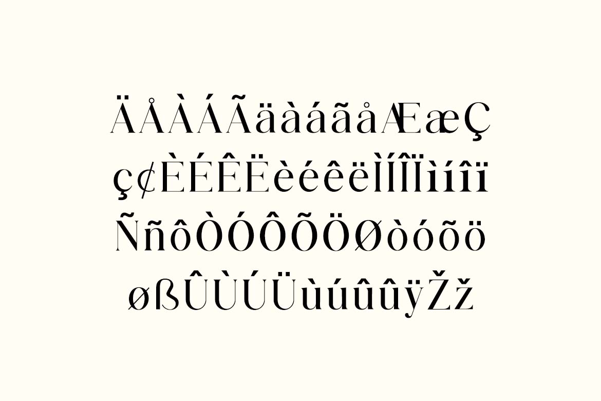 Modest Steady Display Serif Font-7