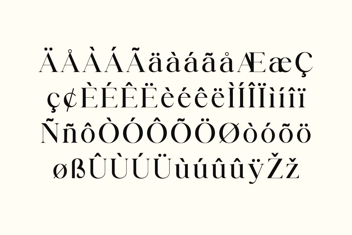 Dinner Junction Stylish Retro Serif Font-7