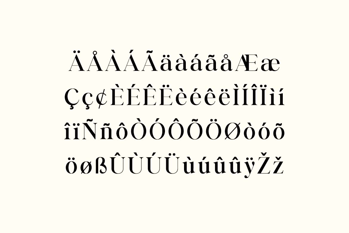 Business Elegance Luxury Display Serif Font-7