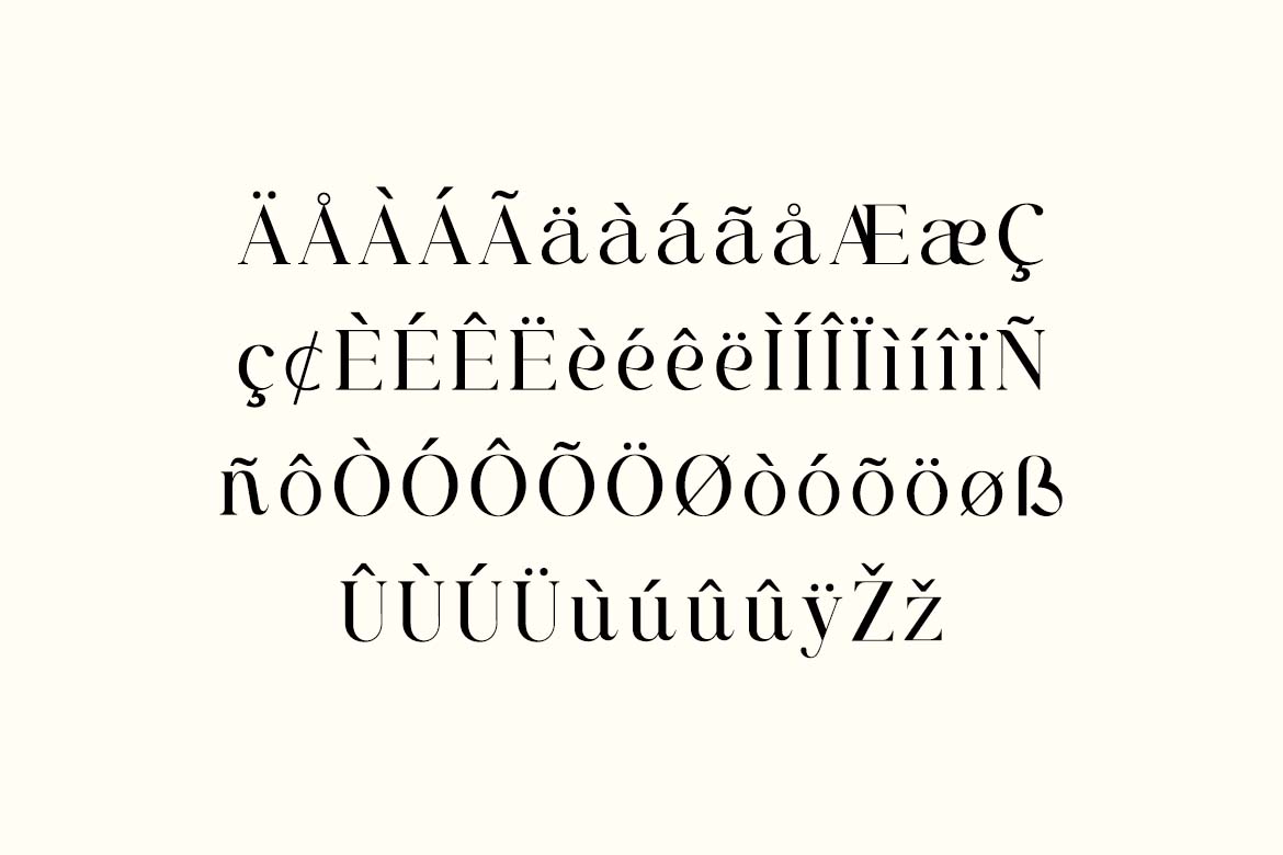 Brighton Newport Elegant Serif Font-7