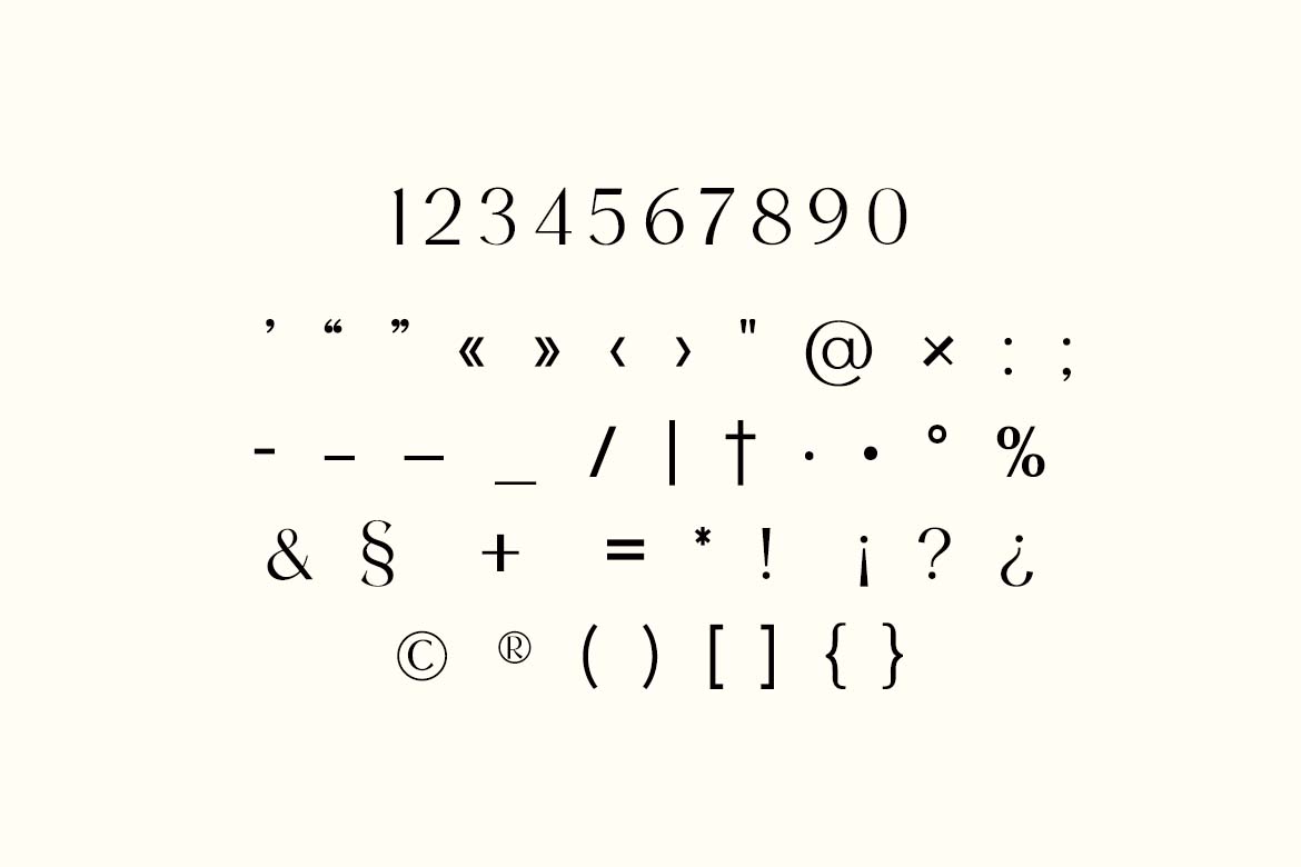 The Kensington Standard Classic Serif Family Font-7