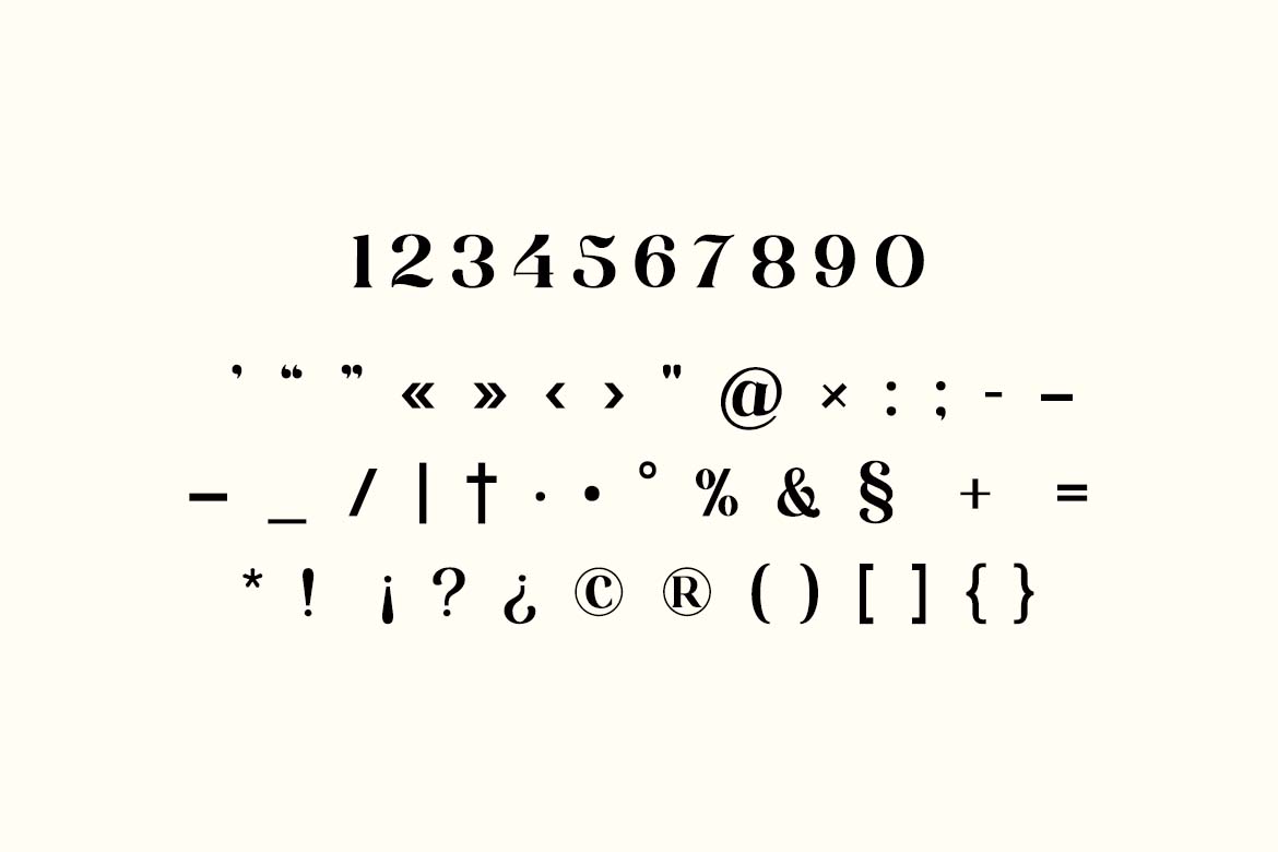 Monarch Paradox Vintage Serif Font-7