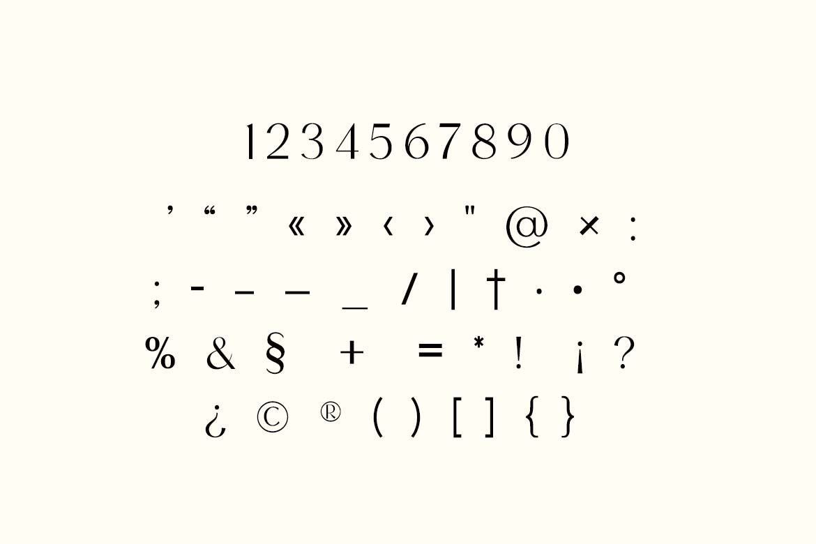 Metropolitan Parliament Editorial Serif Family Font-6