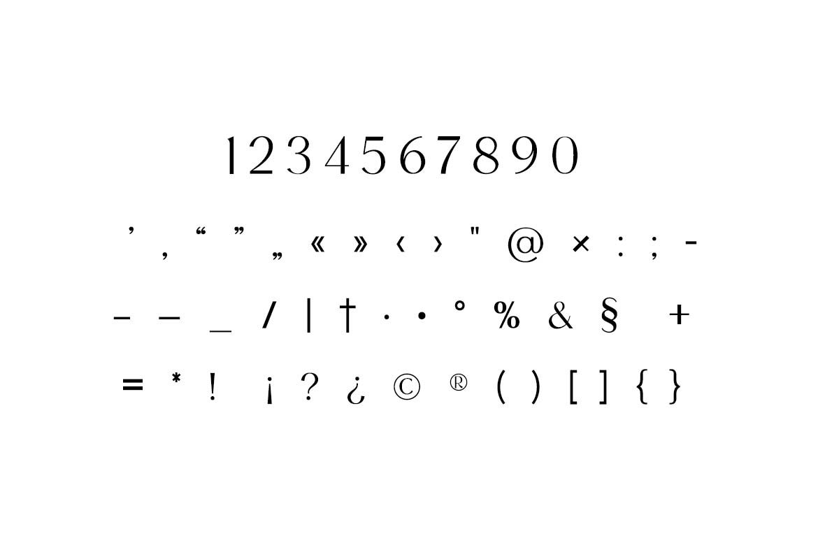 Theodora Valencia Luxury Serif Font-7