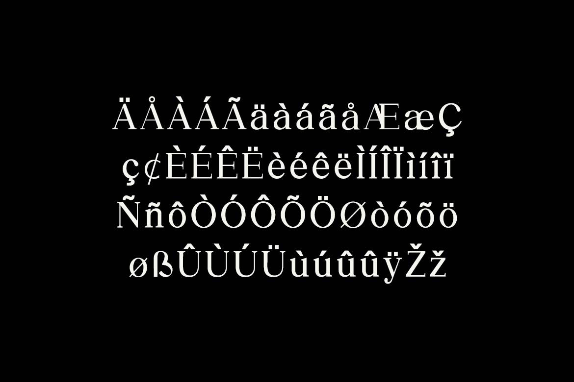 The Regalique Elegant Sans Serif Family Font-7