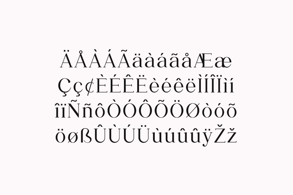 Moonscape Serif Roman Serif Family Font-8