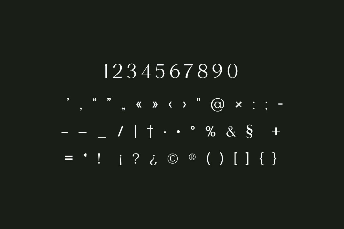 Swaying Elizabeth Modern Serif Family Font-8