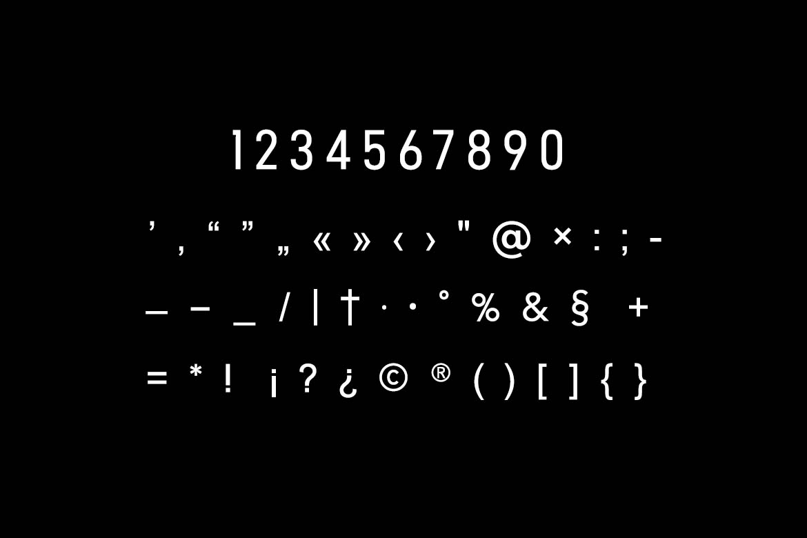 Neuromax Display Sans Serif Font-8